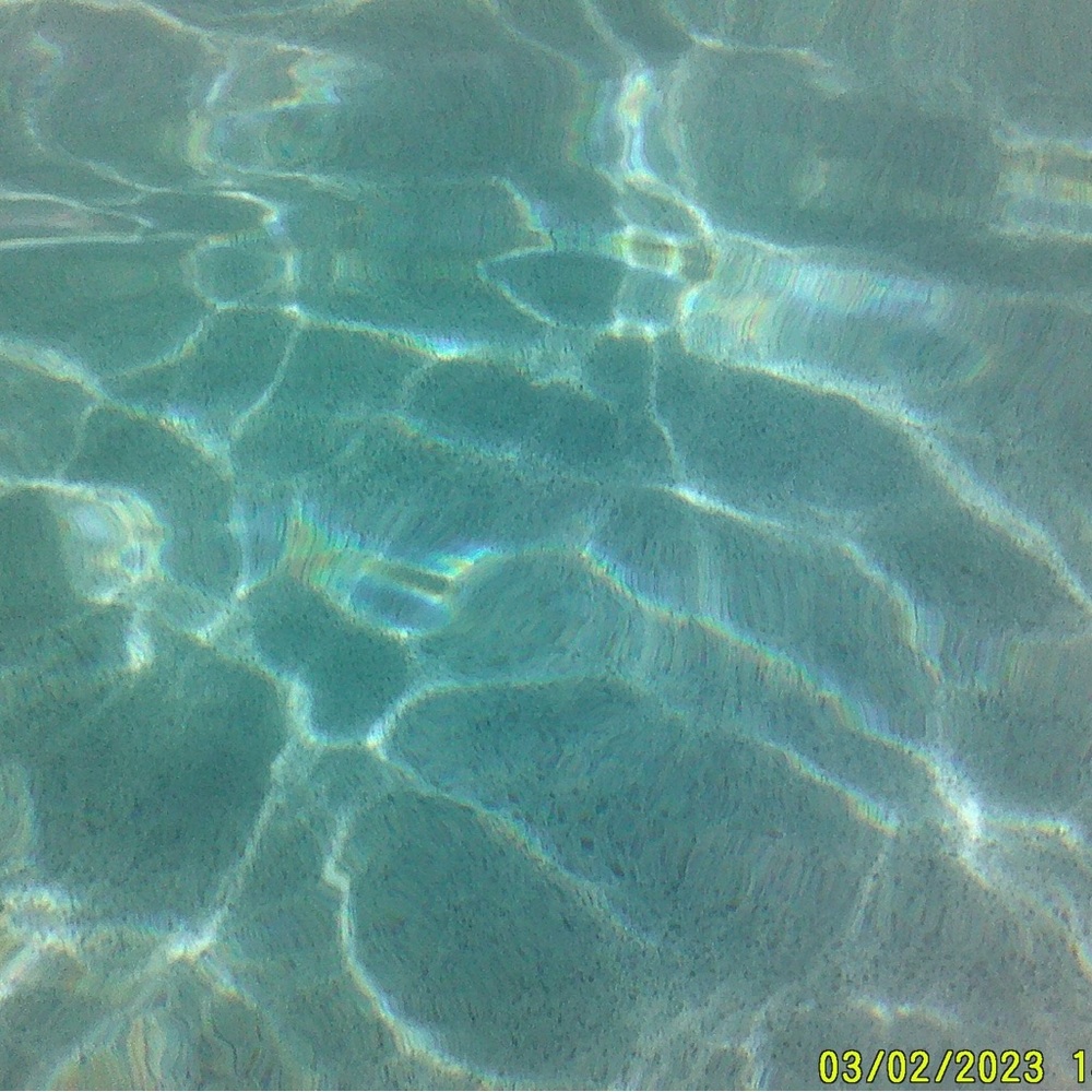 Meet your Posher, Lana